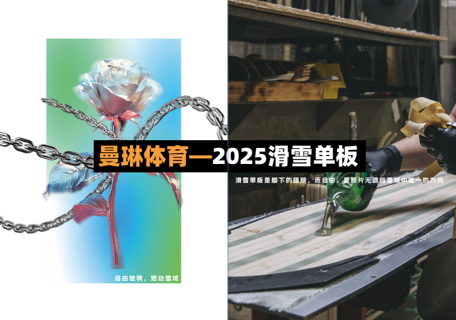 2025¿˻ѩ嵥